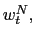 $ w_{t}^{N},$