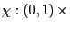 $ \chi:\left( 0,1\right) \times$