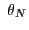$ \ \theta_{N}$