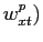 $ w_{xt}^{p})$