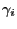 $\gamma _i $