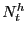 $ N^{h}_{t}$