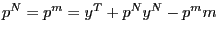 $ p^{N }=p^{m }=y^{T}+p^{N}y^{N}-p^{m}m^{ }$