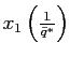 $ x_{1}\left( \frac{1}{\bar{q}^{\ast}}\right) $