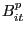 $ B_{it}^{p}$
