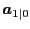 $ \boldsymbol{a} _{1\vert}$