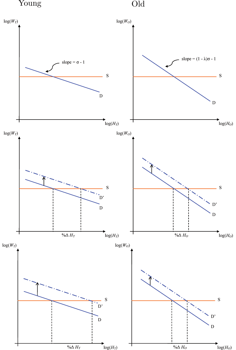 Displays six panels , those on left being for 'young' and those on right being for 'old'. For all panels, Red lines labeled 'S' depict the labor supply curves derived from the household's FONCs with Rogerson-Hansen preferences in log-log space with common slope Theta _Y = Theta _O = 0; blue lines labeled 'D' depict labor demand curves. Top panel: slope of demand curve for HY is flatter than the demand curve for HO. Middle panel: we abstract from the wealth effects of a productivity shock on the labor supply since they are identical across young and old; the shock causes both demand curves to shift up; the “relative slope” effect is evident in % change in HY > %_HO. Bottom panel: the 'relative shift' effect is evident from the labor demand for HY shifting up by more than for HO, increasing %HY even more.