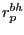 $ r_{p}^{bh} $