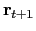 $ \mathbf{r}_{t+1}$
