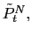 $ \tilde{P}_{t}^{N},$