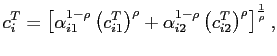 $\displaystyle c_{i}^{T}=\left[ \alpha_{i1}^{1-\rho}\left( c_{i1}^{T}\right) ^{\rho }+\alpha_{i2}^{1-\rho}\left( c_{i2}^{T}\right) ^{\rho}\right] ^{\frac {1}{\rho}},$