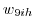_{ }w_{9ih} 