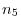 n_5 