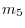 m_5 