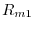 R_{m1} 