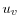  u_{v}