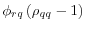 \phi_{rq}\left( \rho _{qq}-1\right) 