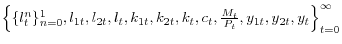 \left\{ {\{l_t^n \}_{n=0}^1 ,l_{1t} ,l_{2t} ,l_t ,k_{1t} ,k_{2t} ,k_t ,c_t ,\frac{M_t }{P_t },y_{1t} ,y{ }_{2t},y_t } \right\}_{t=0}^\infty 