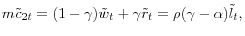 m\tilde {c}_{2t} =(1-\gamma )\tilde {w}_t +\gamma \tilde {r}_t =\rho (\gamma -\alpha )\tilde {l}_t ,