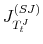  J_{T_{t}^{J}}^{(SJ)}