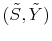  (\tilde{S},\tilde{Y})