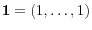 {\rm {\bf 1}}=(1,\ldots ,1)