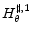  H^{\sharp,1}_\theta