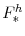 F^{h}_{\ast}