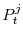 P^{j}_{t}