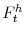 F^{h}_{t}