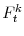 F^{k}_{t}