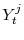 Y^{j}_t