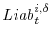 \mathit{Liab}^{i,\delta}_{t}