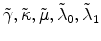  \tilde{\gamma},\tilde{\kappa}, \tilde{\mu}, \tilde{\lambda}_0, \tilde{\lambda}_1