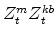  Z^{m}_{t}Z^{kb}_{t}