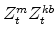 Z^{m}_{t}Z^{kb}_{t}