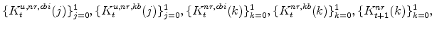 \displaystyle \{K^{u,nr,cbi}_{t}(j)\}_{j=0}^{1},\{K^{u,nr,kb}_{t}(j)\}_{j=0}^{1}, \{K^{nr,cbi}_{t}(k)\}_{k=0}^{1},\{K^{nr,kb}_{t}(k)\}_{k=0}^{1},% \{K^{nr}_{t+1}(k)\}_{k=0}^{1},