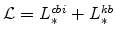  \mathcal{L}=L_{\ast }^{cbi}+L_{\ast }^{kb}