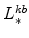  L_{\ast }^{kb}