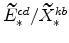  \widetilde{E}% ^{cd}_{\ast}/\widetilde{X}^{kb}_{\ast}