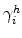  \gamma_{i}^{h}