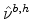  \hat{\nu}^{b,h}