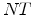  NT