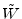  \ensuremath{\tilde W}