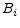  B_{i}