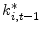  k^{\ast}_{i,t-1}