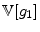\displaystyle \mathbb{V}[g_{1}]
