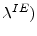  \lambda^{IE})