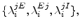  \{\lambda_{i}^{jE},\lambda_{i}^{Ej},\lambda_{i}% ^{jI}\},