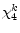  \chi_{4}^{k}